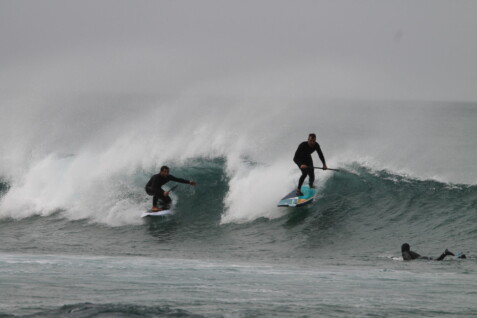 Why is it essential to have a local SUP surfing guide when exploring Algarve's hidden gems?